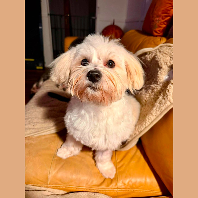 Photo of Sunny