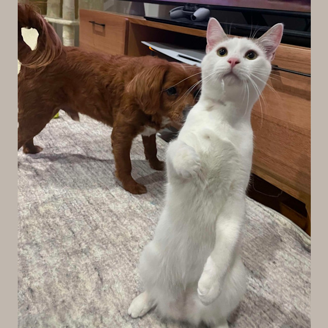 Photo of Wilson 🤍