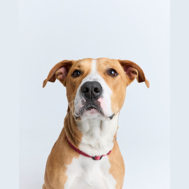 Photo of Coco