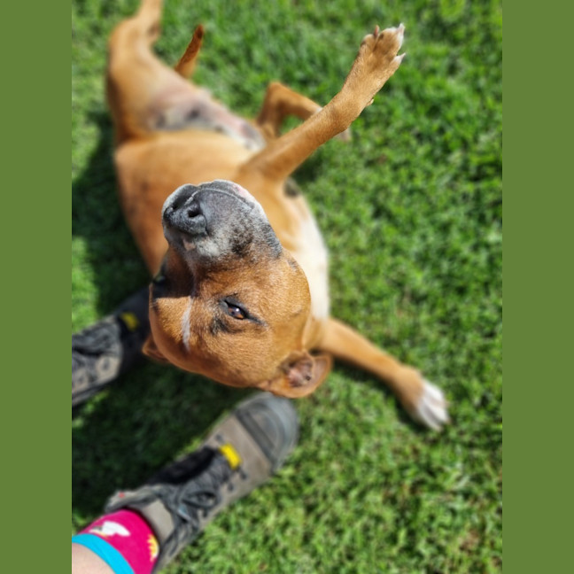 Photo of Rosie
