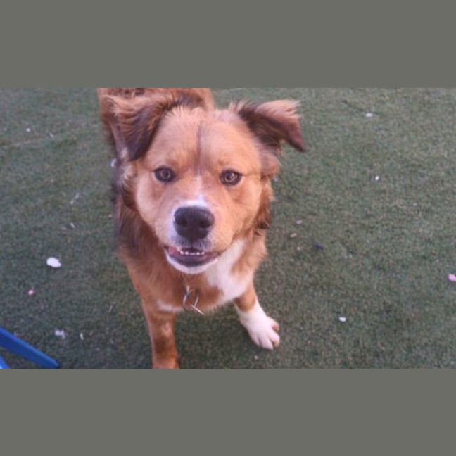 Photo of Atlas