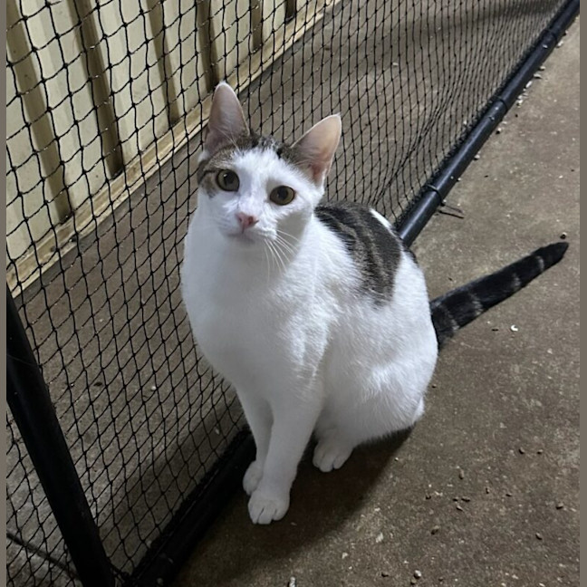 Photo of Nudge