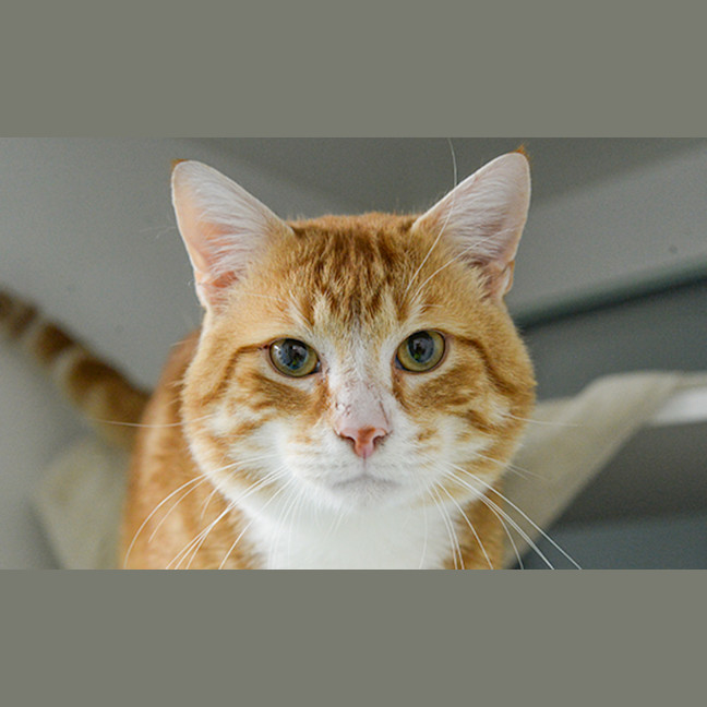 Photo of Gregory