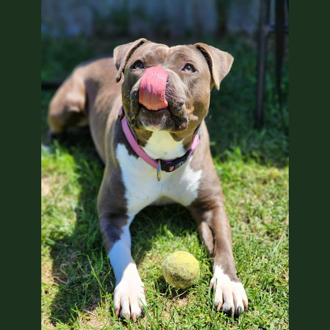 Photo of 🍧 Sassy 6524 🍧