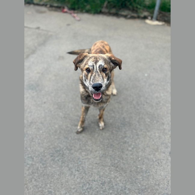 Photo of Frank Sinatra