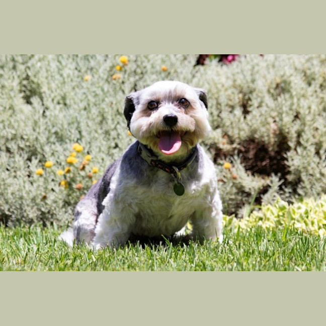 Photo of Lulu Lozano