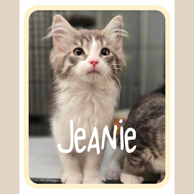 Photo of Jeanie