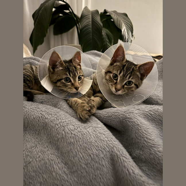 Photo of Billie And Blossom