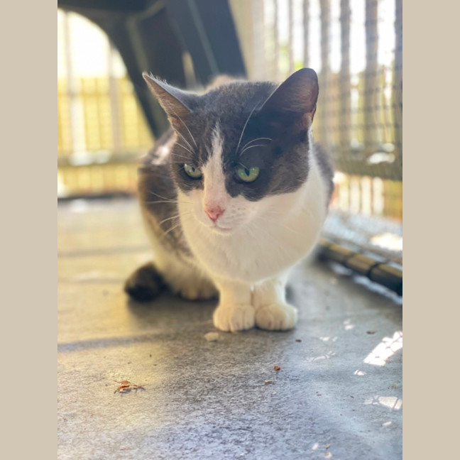 Photo of Bertha