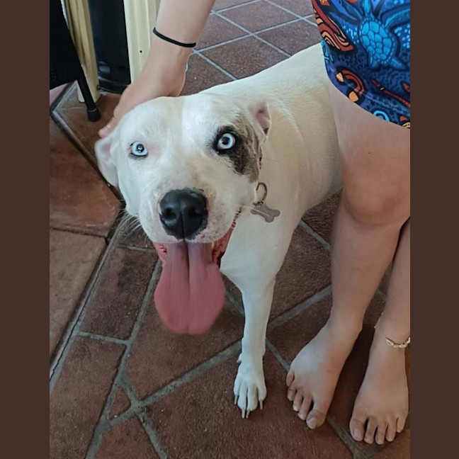 Photo of Jazz