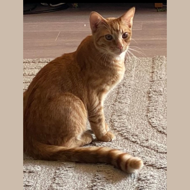 Photo of George