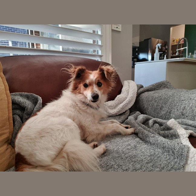 Photo of Basil Silvanus