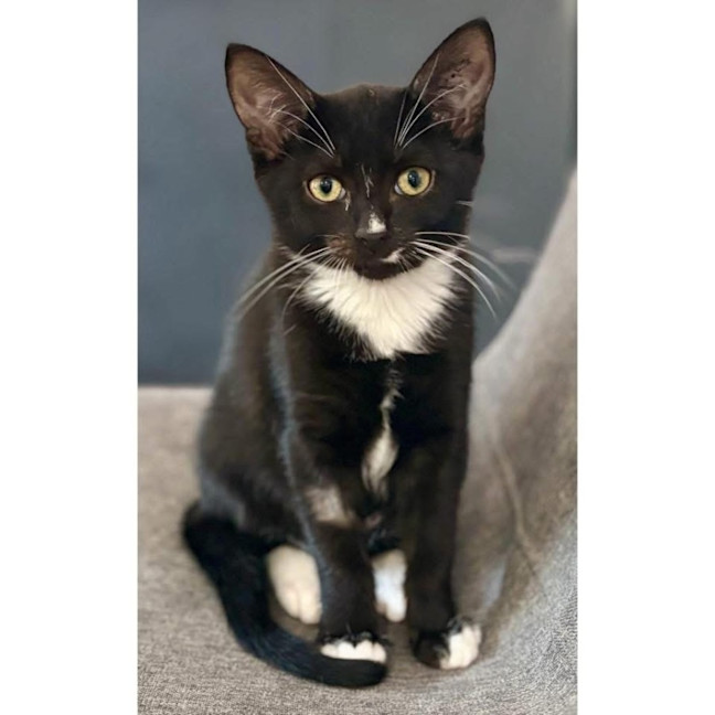 Photo of 12280   Shalom