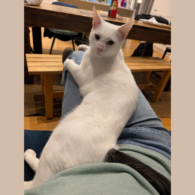 Photo of Ferdi 💙💙