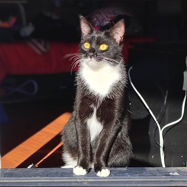 Photo of Limi