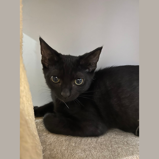Photo of Bob