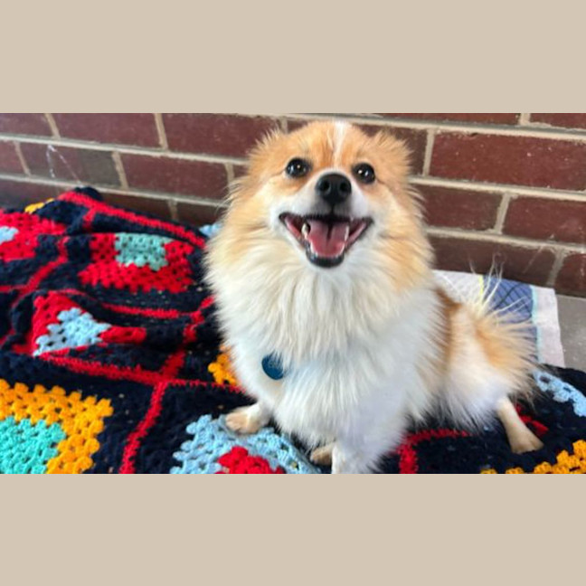 Photo of Marbles