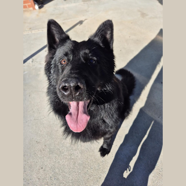 Photo of Archie 💘