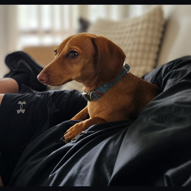 Photo of Oscar
