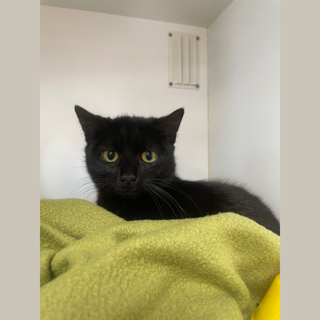 Photo of Hansel And Gretel