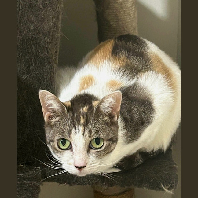 Photo of Vera