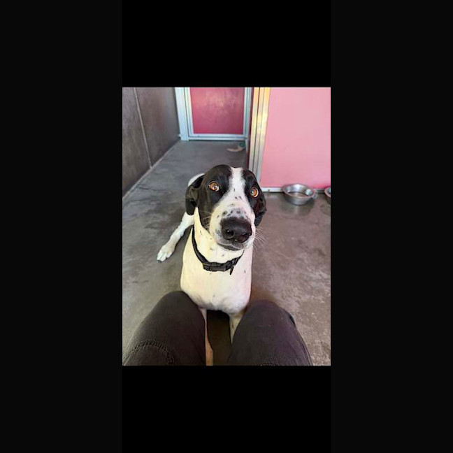 Photo of Harley