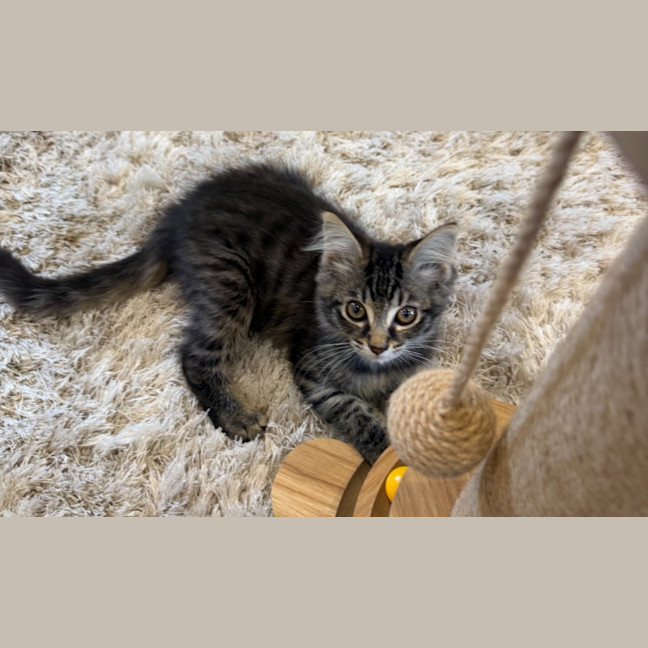 Photo of Elsie