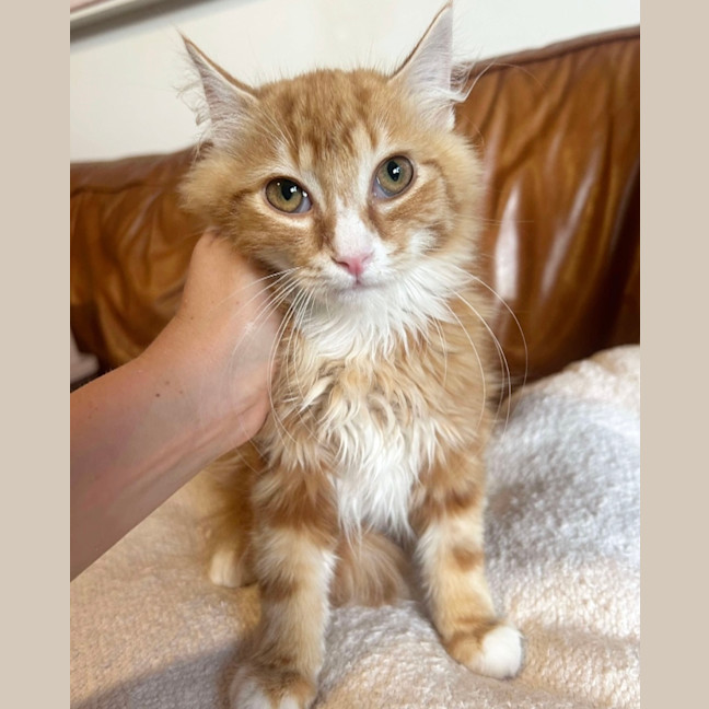 Photo of Jamie ❤️