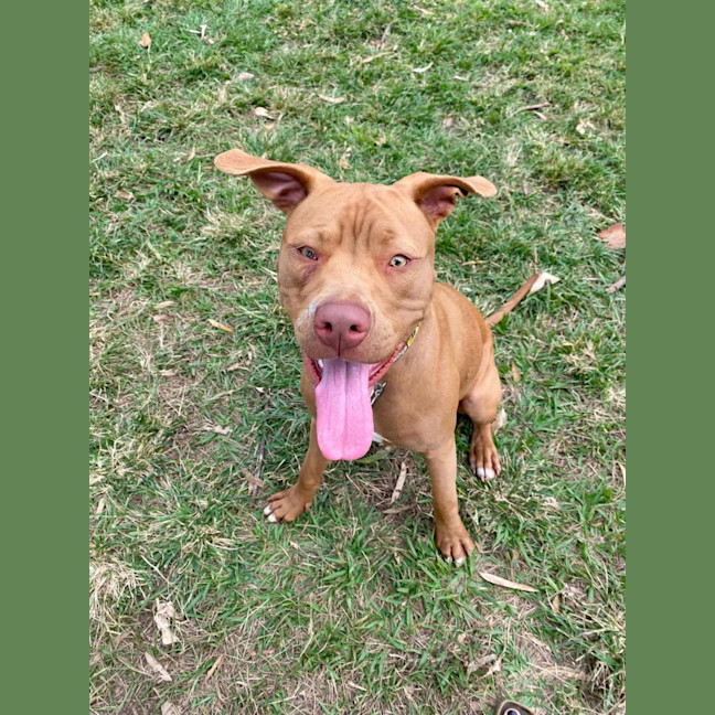 Photo of Tutu
