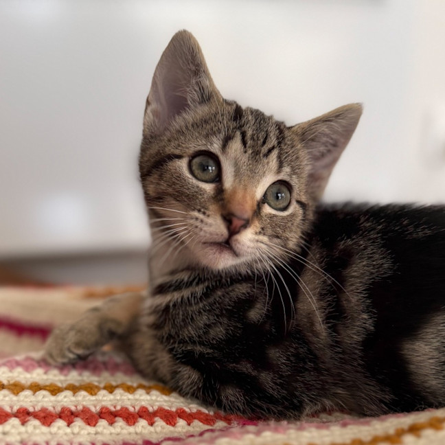 Photo of Daphne 🌻