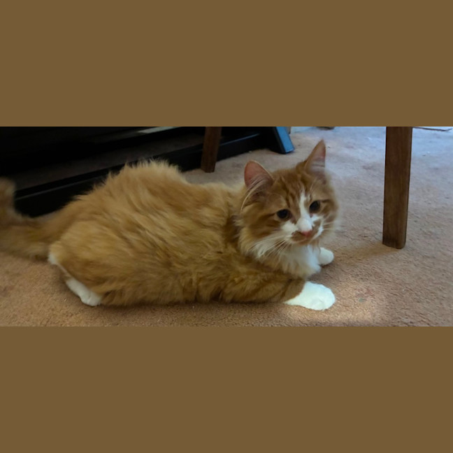 Photo of Benny