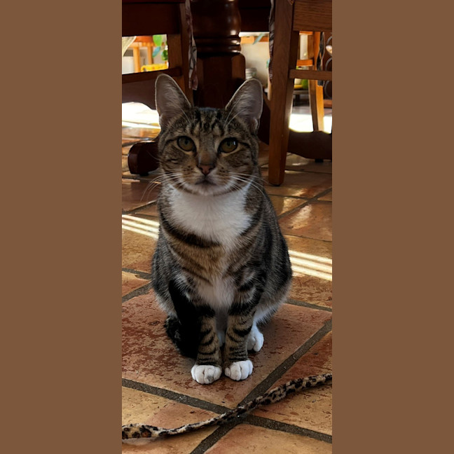 Photo of Marmee 