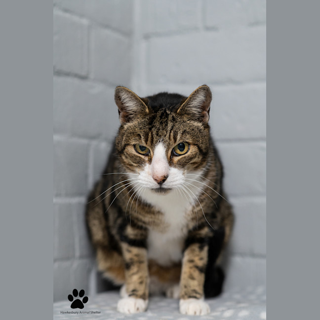 Photo of Harley