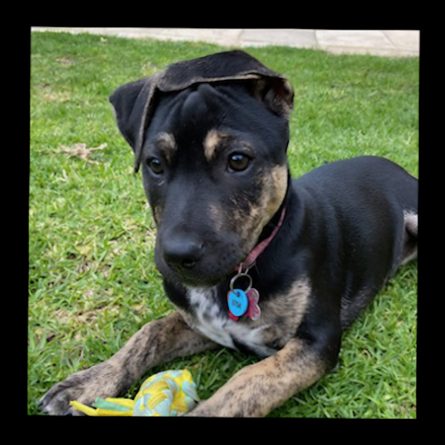 Photo of Princess Fiona