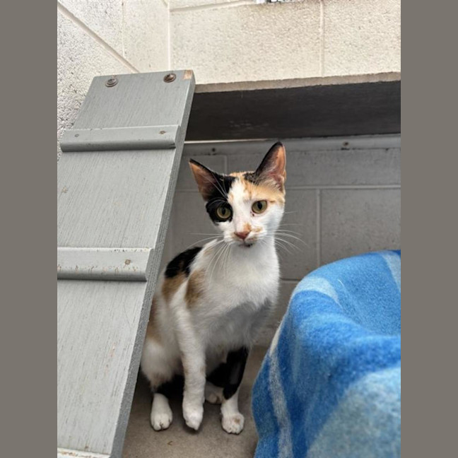 Photo of Suzie