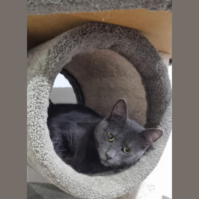 Photo of Sassy