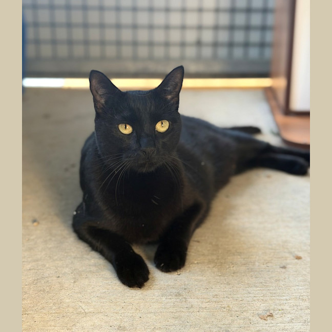 Photo of Esme