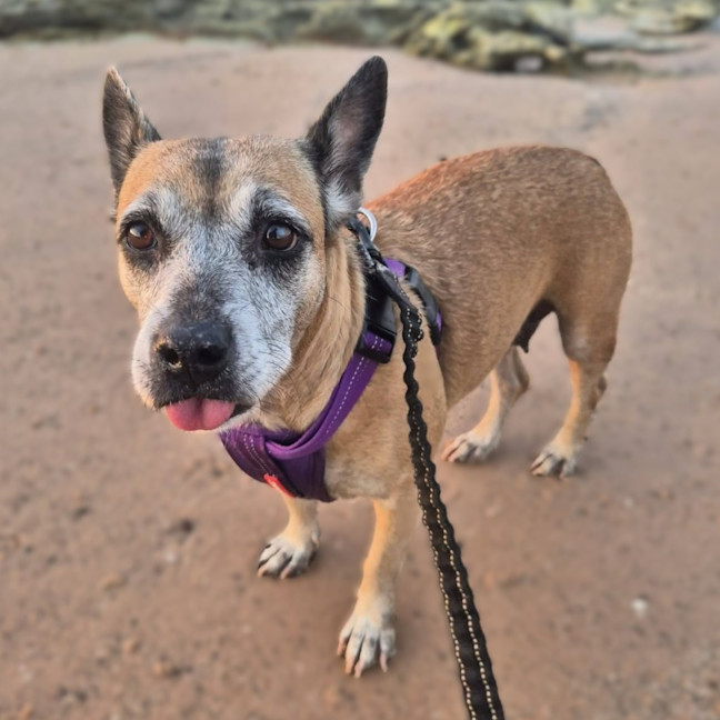 Photo of Winnie