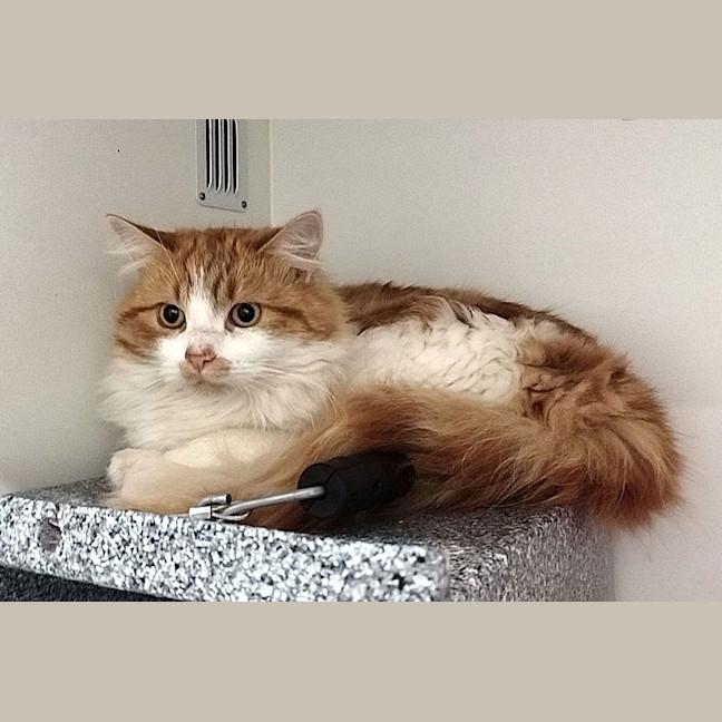 Photo of Bertie