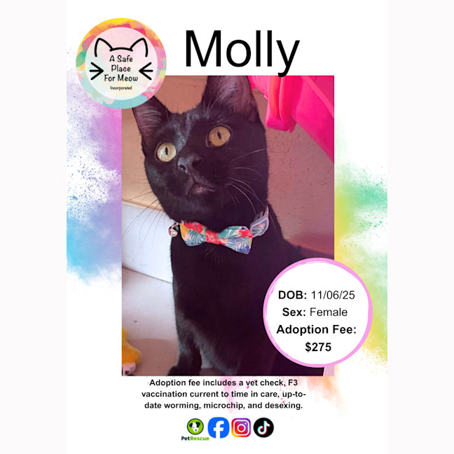 Photo of Molly