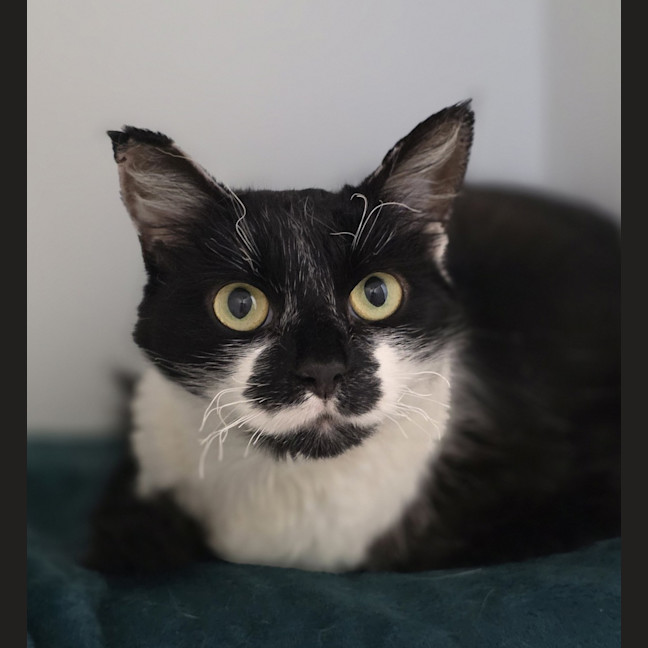Photo of Betty