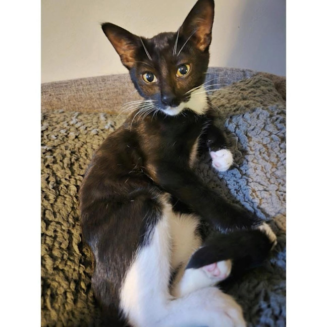 Photo of 11526   Kimi