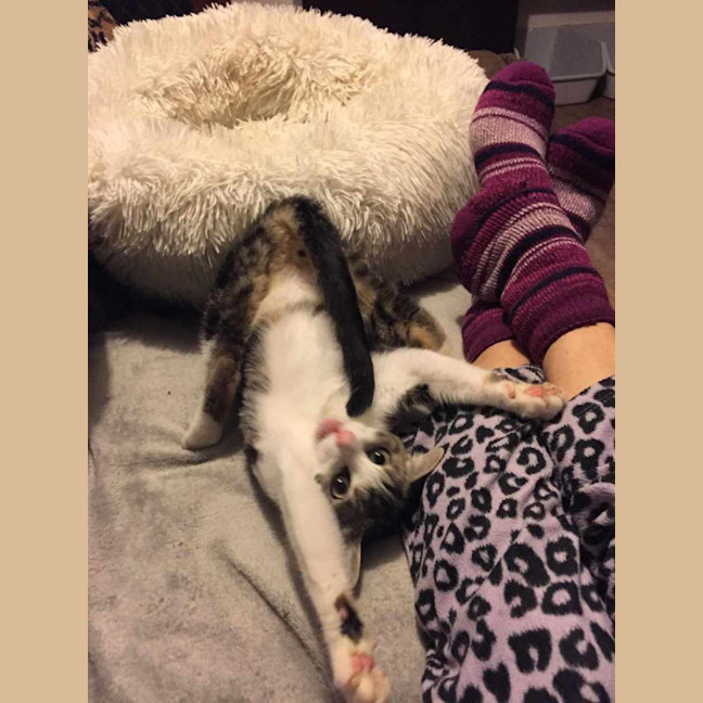 Photo of Mr Shmeagal