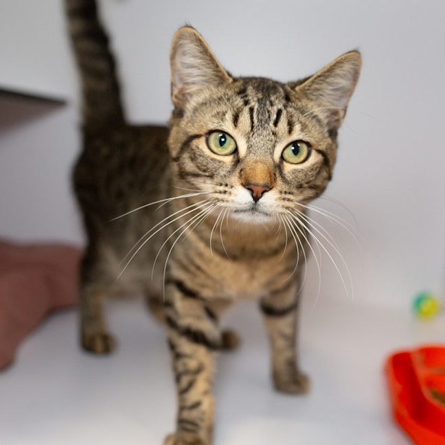 Photo of Clawde Monet