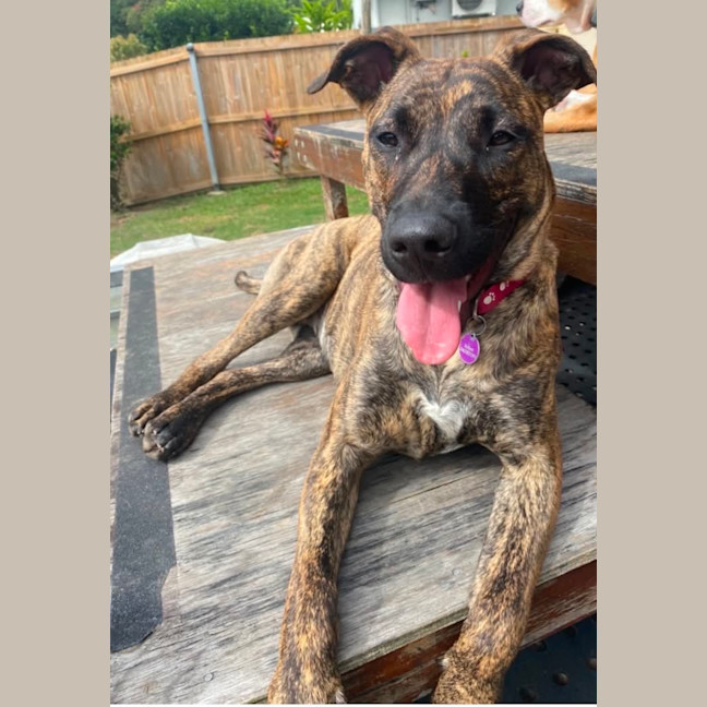 Photo of Penny