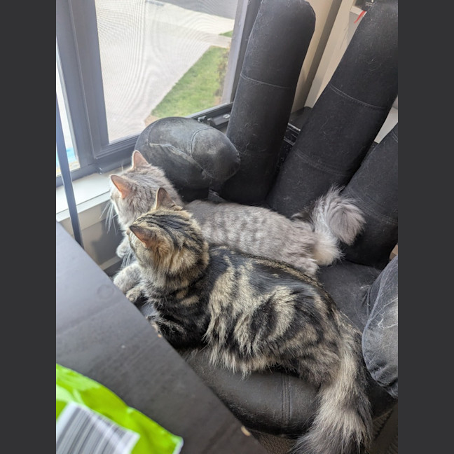 Photo of Wax & Wayne