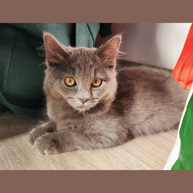 Photo of Winifred 