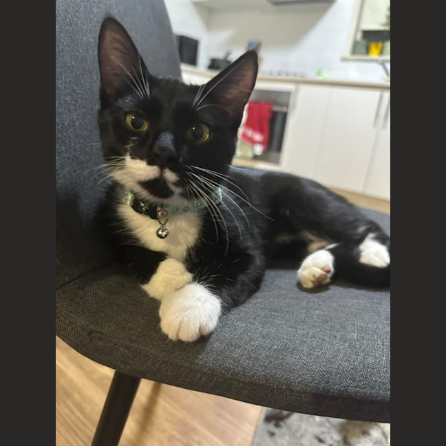 Photo of Taco