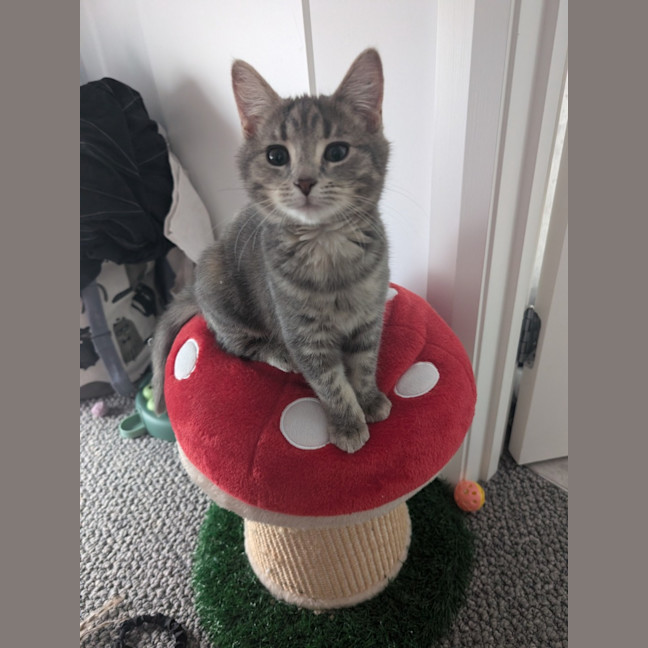 Photo of Smokin 🔥