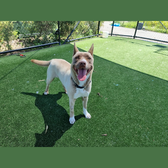 Photo of Arwen Imp 2188